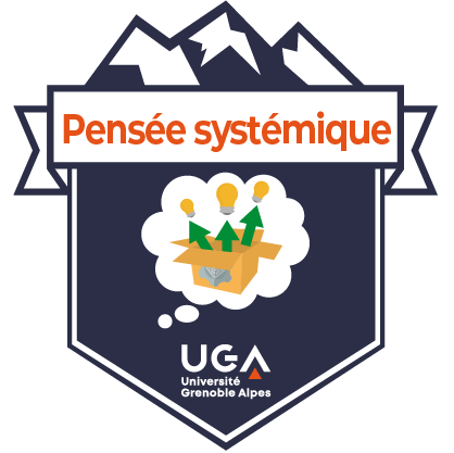 Open Badge pensée systémique